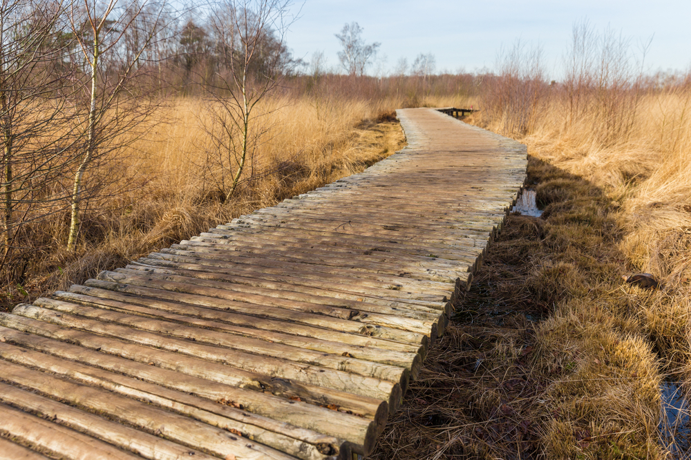 De Groote Heide bij Venlo