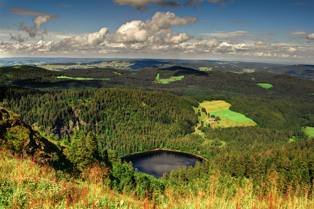 het zwarte woud, feldberg