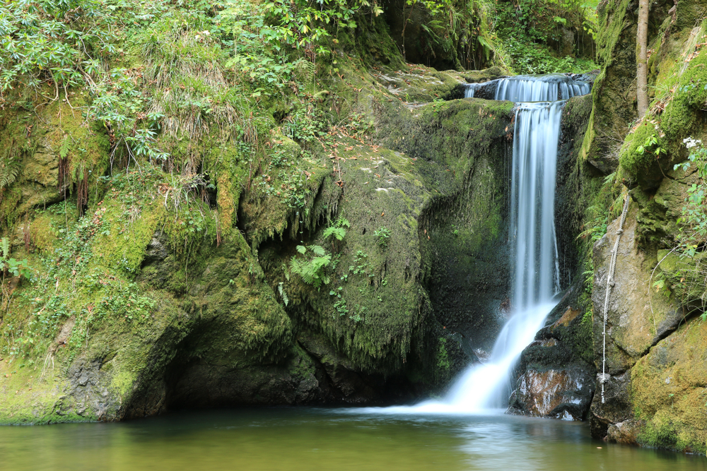 waterval in zwarte woud