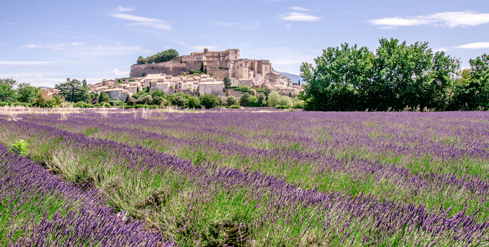 lavendelvelden gordes